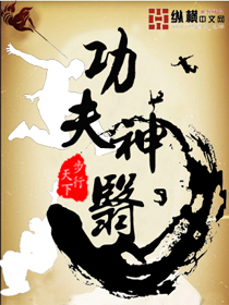 功夫神医(步行天下)