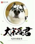 大宋昏君