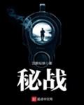 秘战