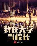 我在大学当校长