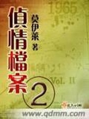 侦情档案二