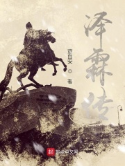 泽霖传