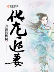 化龙追妻