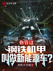 你管这钢铁机甲叫做新能源车？